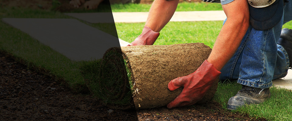 Fort Drum Landscapers